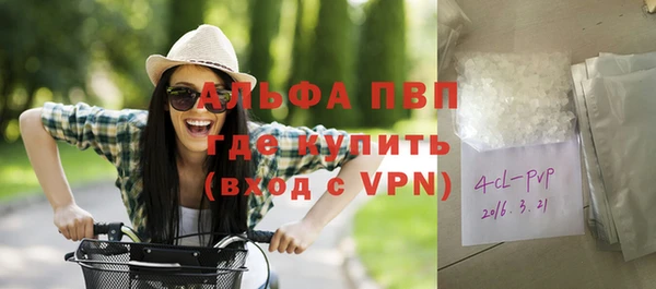 прущие грибы Богданович