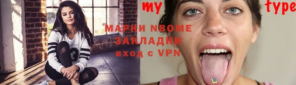 прущие грибы Богданович