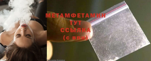 прущие грибы Богданович