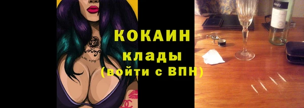прущие грибы Богданович