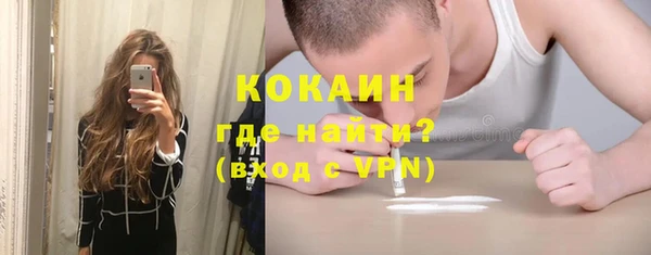 прущие грибы Богданович