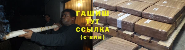 прущие грибы Богданович