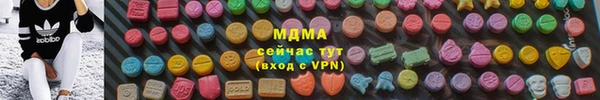 прущие грибы Богданович