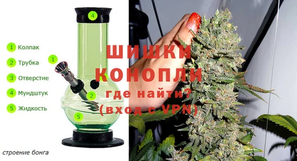 прущие грибы Богданович