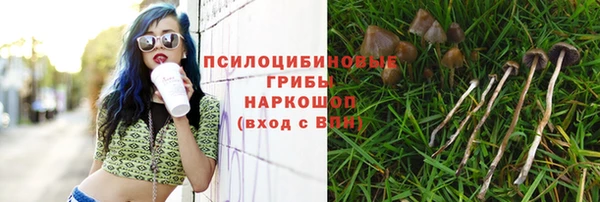 каннабис Богородицк