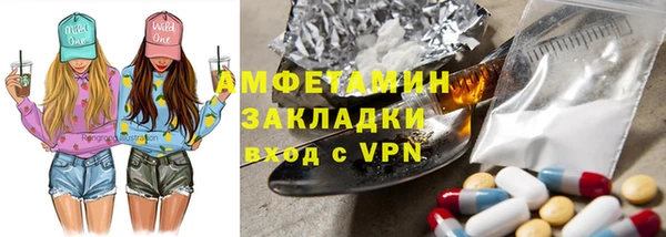 прущие грибы Богданович