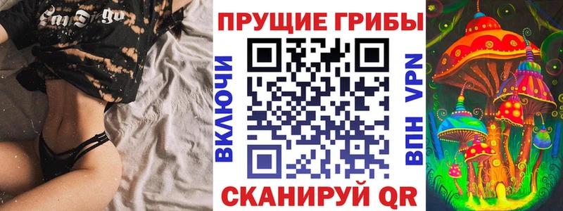 купить наркоту  blacksprut рабочий сайт  Галлюциногенные грибы MAGIC MUSHROOMS  Славгород 